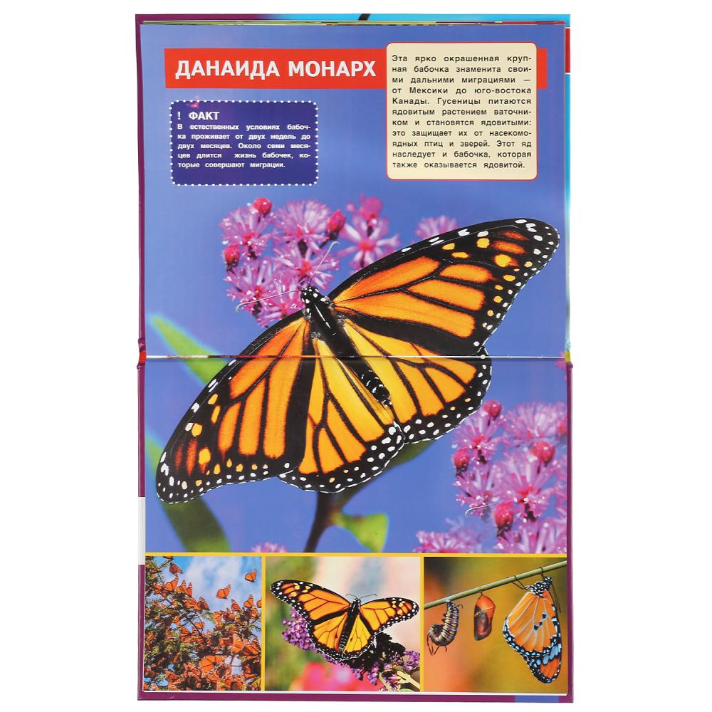 "УМКА". САМЫЕ ОПАСНЫЕ НАСЕКОМЫЕ. ЭНЦИКЛОПЕДИЯ А4 С РАЗВИВАЮЩИМИ ЗАДАНИЯМИ. 197Х255ММ 48СТР в кор15шт