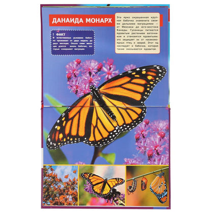 "УМКА". САМЫЕ ОПАСНЫЕ НАСЕКОМЫЕ. ЭНЦИКЛОПЕДИЯ А4 С РАЗВИВАЮЩИМИ ЗАДАНИЯМИ. 197Х255ММ 48СТР в кор15шт