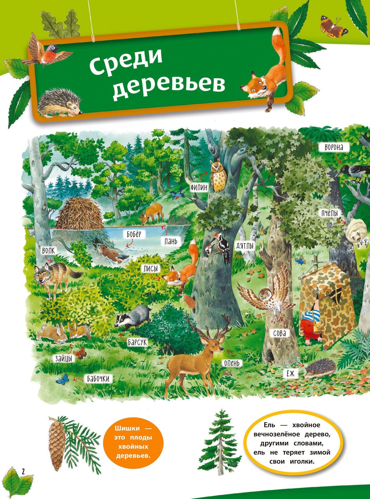 В лесу. Книга с наклейками