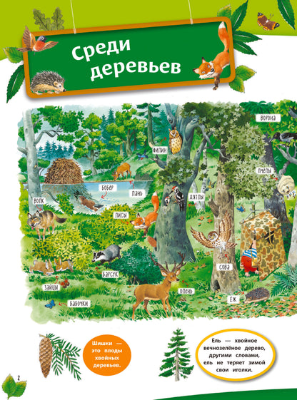 В лесу. Книга с наклейками