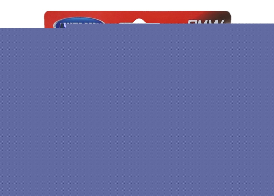 Eh bien. Machine 1:38 "BMW X5", art.43691W-BL