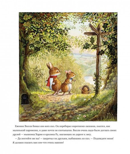 Регата лисьего леса. Сказки лисьего леса