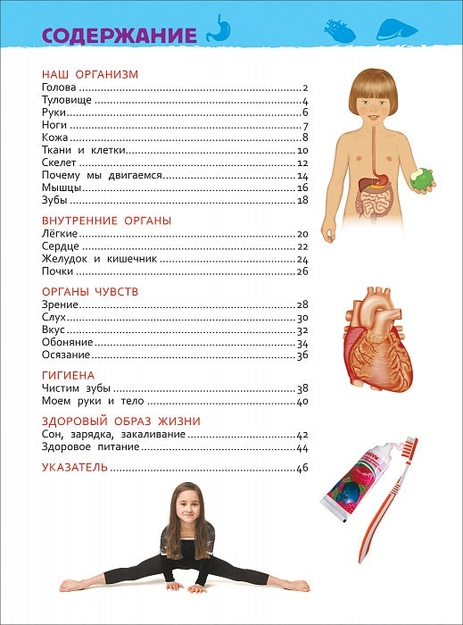 Тело человека (Энциклопедия для детского сада)