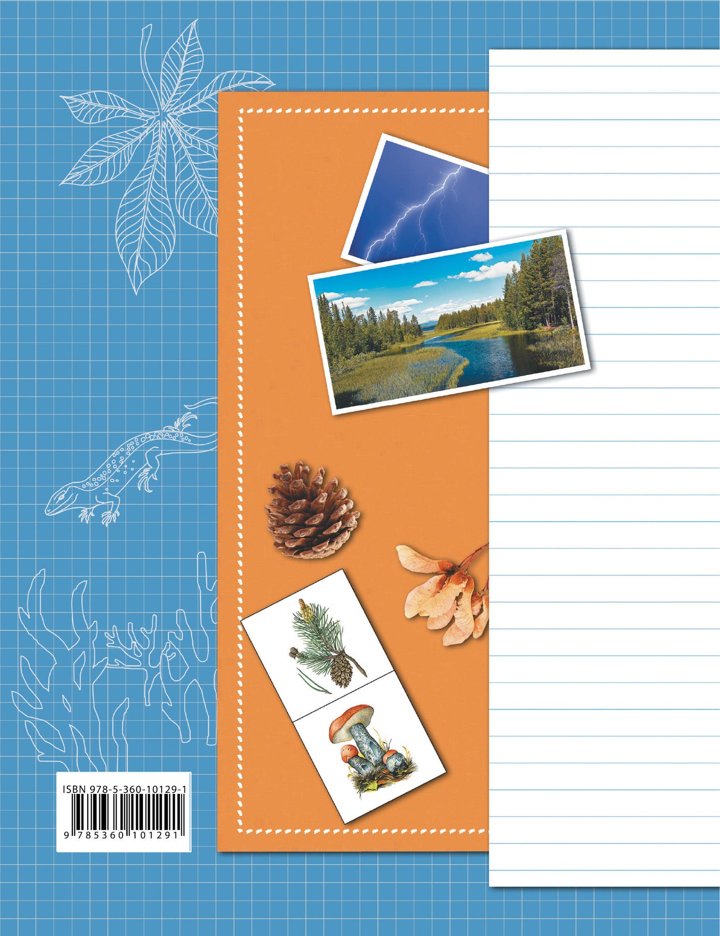 Окружающий мир. 3 класс. Тетрадь для проверочных работ №1