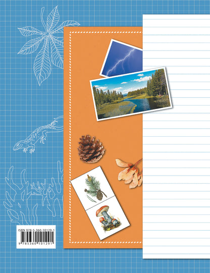 Окружающий мир. 3 класс. Тетрадь для проверочных работ №1