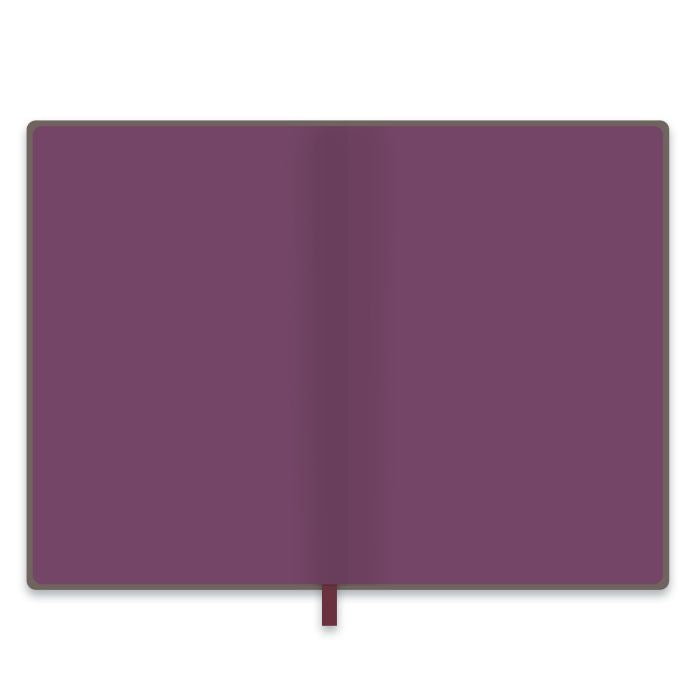 Ежедневник недат.НАППА СТАЛЬНОЙ+БОРДО,47467