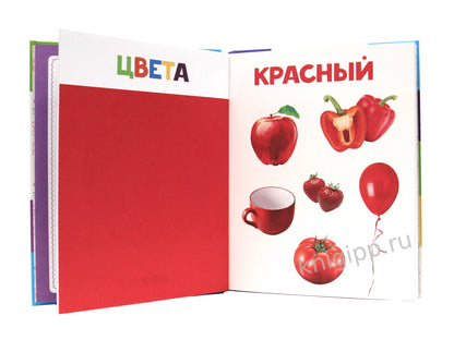 ГЛАВНАЯ КНИГА МАЛЫША матов.ламин.обл. выб.лак. офсет 203х257