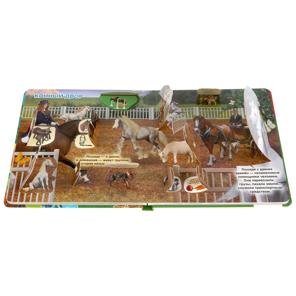 Домашние животные. Энциклопедия 100 окошек. Format: 195x215mm. Contenu : 14 cartes. стр. Умка в кор.10шт