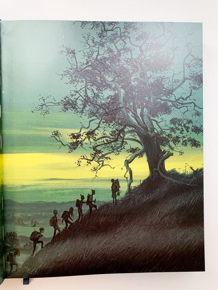 Harry Potter and the Goblet of Fire Illustrated Edition (J.K. Rowling) Гарри Поттер и Кубок Огня Илл.издание/ Книги на английском языке