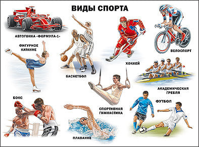 ПЛАКАТ. ВИДЫ СПОРТА