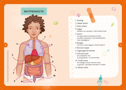 Тело человека. Интерактивная детская энциклопедия с магнитами (нов.оф.) (в коробке)