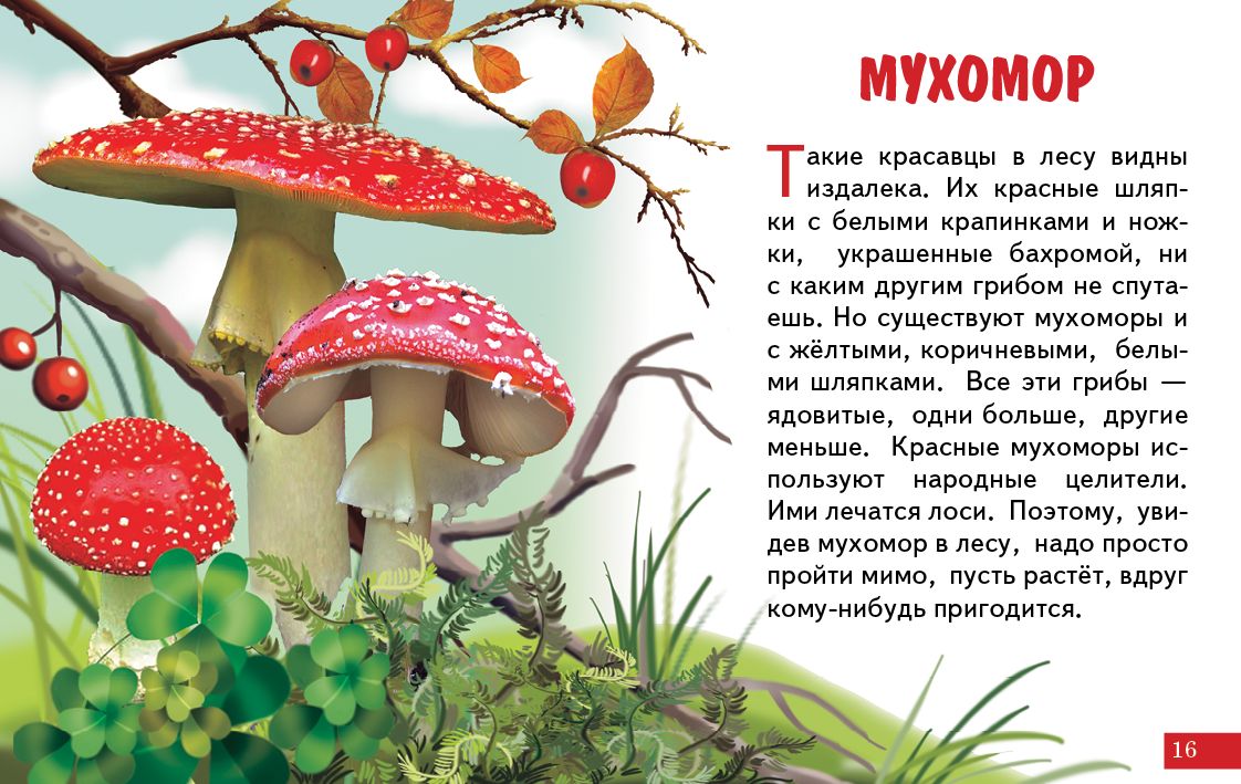 Cartes (европодвес). Грибы ; Cartes (европодвес). Грибы