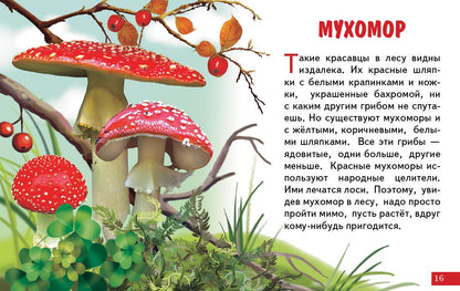 Cartes (европодвес). Грибы ; Cartes (европодвес). Грибы