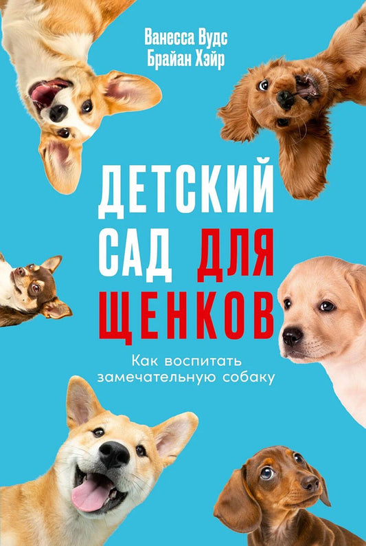 Детский сад для щенков: Как воспитать замечательную собаку