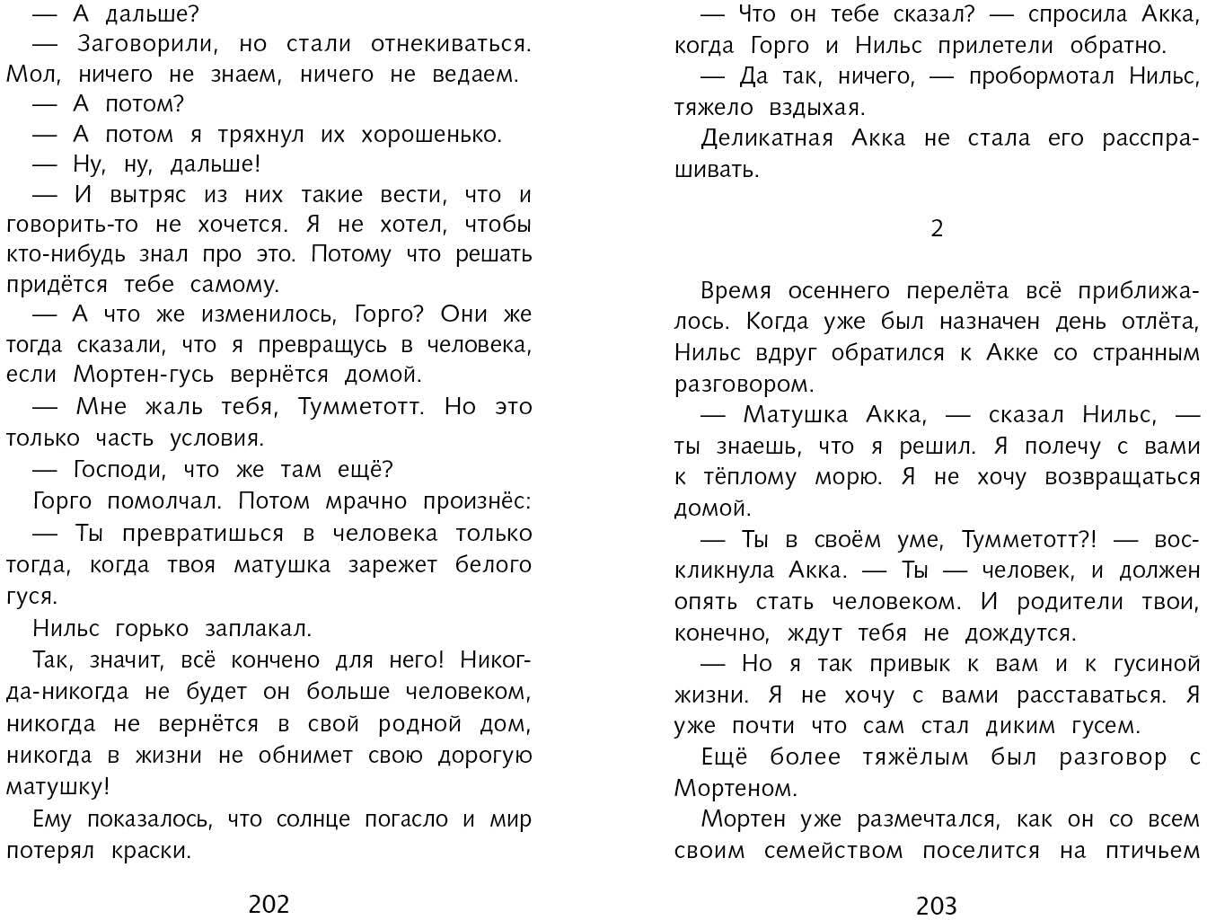 Чудесное путешествие Нильса с дикими гусями. Школьная программа