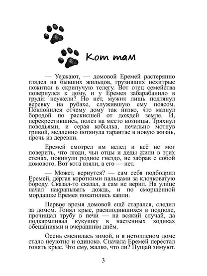 Кот там