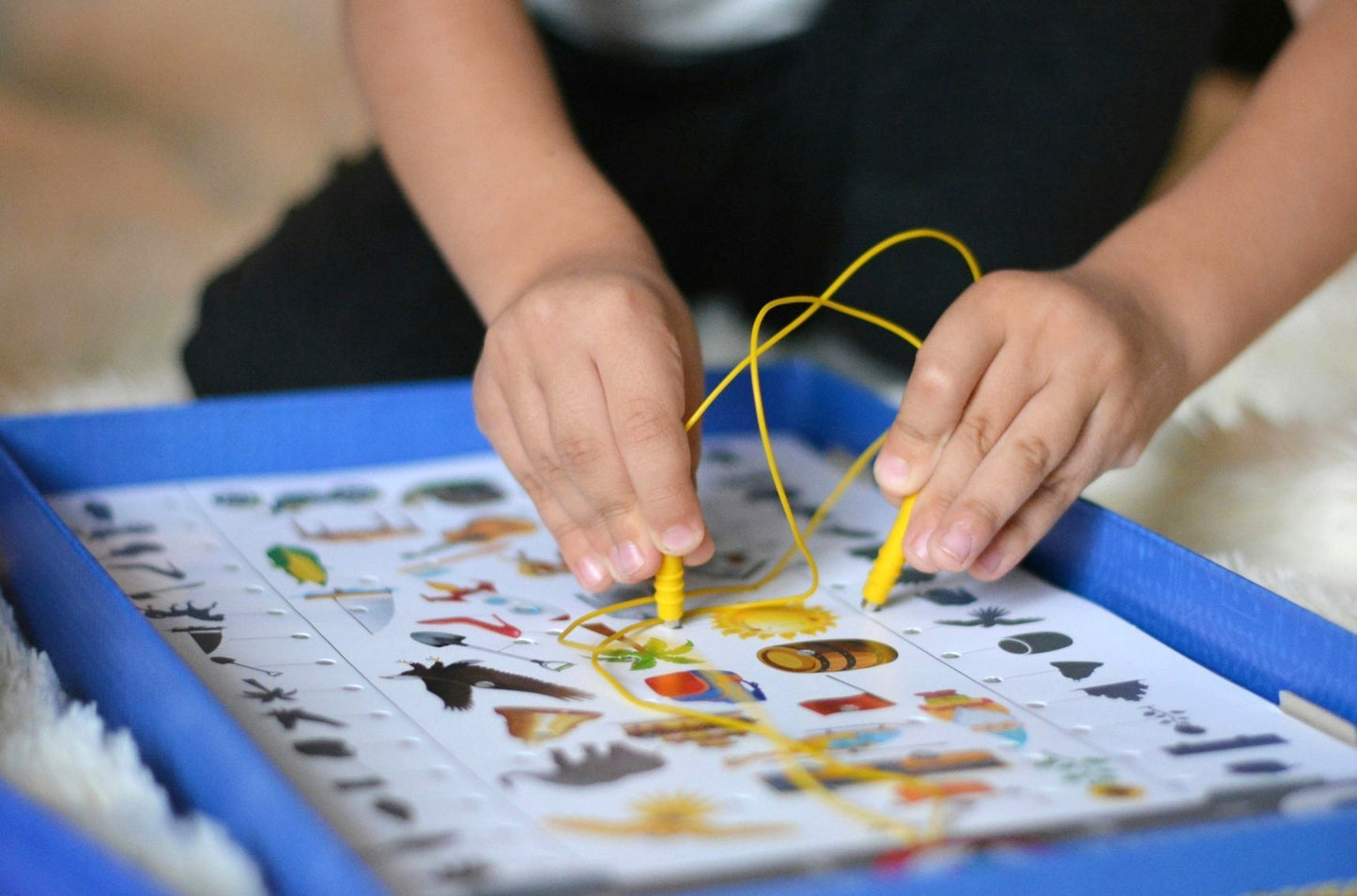 ДК.Игра Электровикторина "Окружающий мир" арт.03672/5