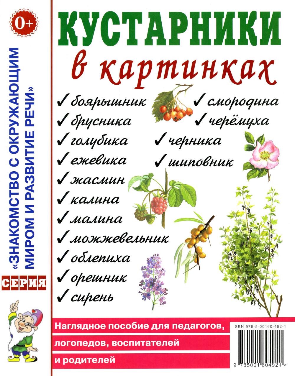 Кустарники в картинках. Наглядное пособие на педагогов, логопедов, воспитателей и родителей. A4