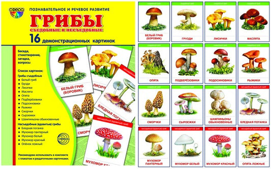 Демонстр. картинки "Грибы съедобные и" (173х220мм)