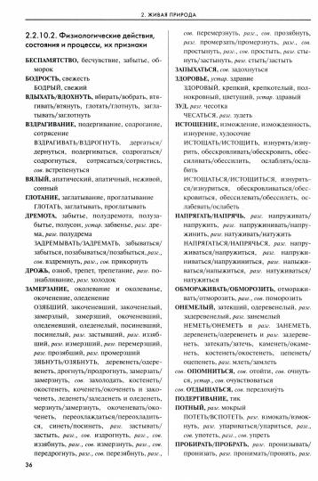 Словарь-тезаурус синонимов русского языка