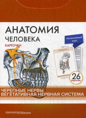 Анатомия человека: карточки. (26 шт). Черепные нервы. Вегетативная нервная система