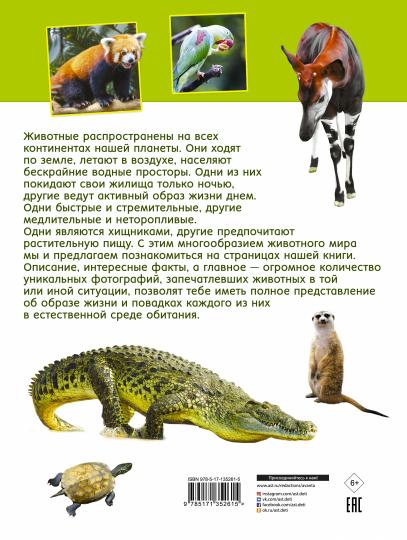 Первая книга о животных. 1000 photos
