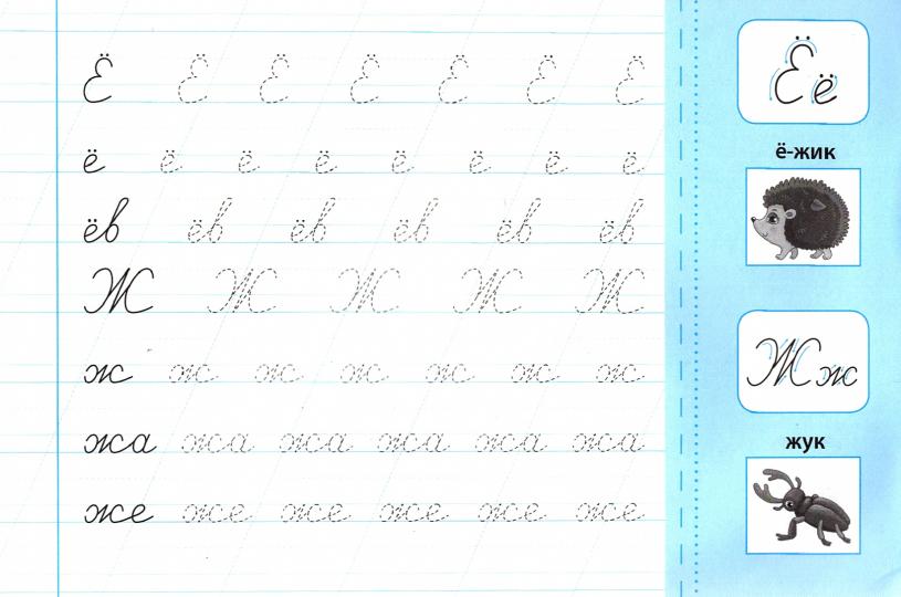 Пишу буквы правильно: прописи с наклейками для дошколят: 5+ дт