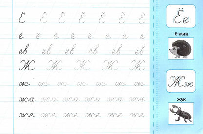 Пишу буквы правильно: прописи с наклейками для дошколят: 5+ дт