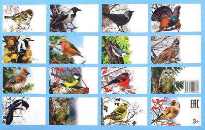 Cartes. Зимующие птицы России ; Cartes. Зимующие птицы России