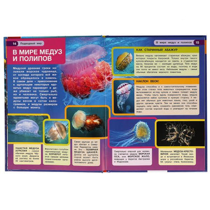 "УМКА". ПОДВОДНЫЙ МИР. ЭНЦИКЛОПЕДИЯ А4 С РАЗВИВАЮЩИМИ ЗАДАНИЯМИ. 197Х255ММ, 48 СТР. в кор15шт