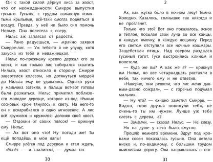 Чудесное путешествие Нильса с дикими гусями. Школьная программа