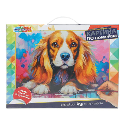 Étui avec numéro de support 30*40 cm en acrylique de MUЛЬТИ АРТ en cor.24шт