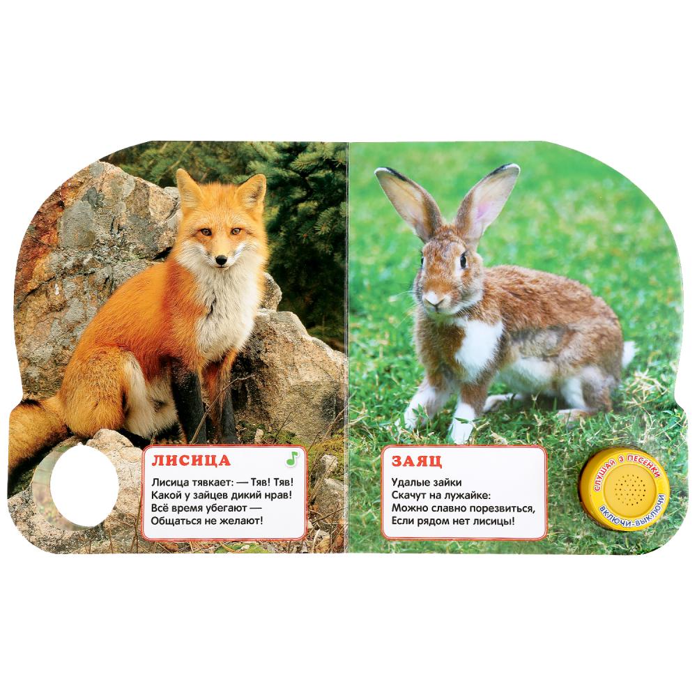 "Умка". Лесные животные. М. Дружинина (1 кн. 3 песенки). Формат: 152х185 мм, 8 карт. стр. в кор.24шт