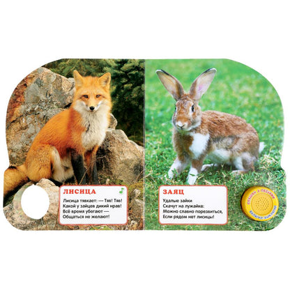 "Умка". Лесные животные. М. Дружинина (1 кн. 3 песенки). Формат: 152х185 мм, 8 карт. стр. в кор.24шт