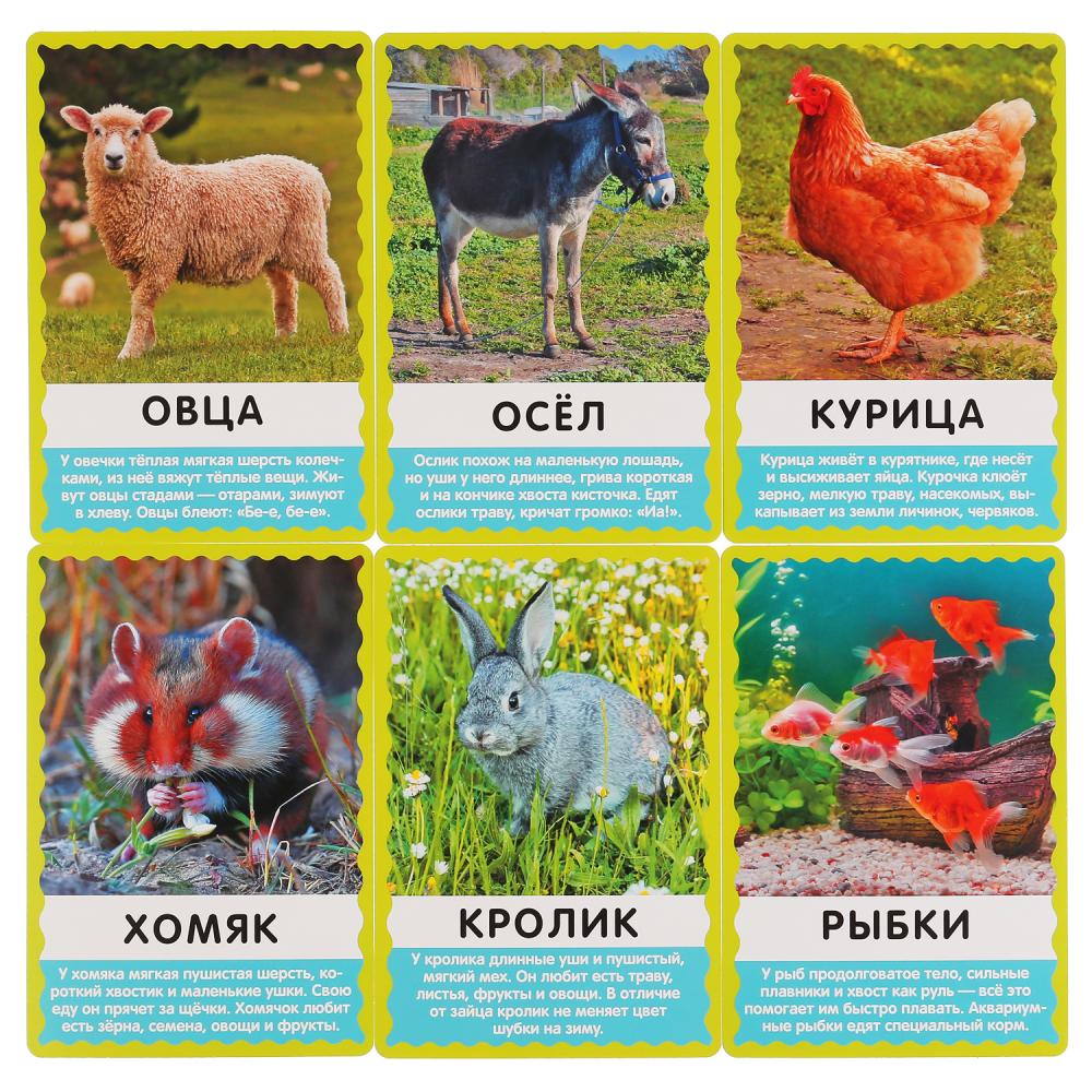 КАРТОЧКИ РАЗВИВАЮЩИЕ "УМНЫЕ ИГРЫ" ДОМАШНИЕ ЖИВОТНЫЕ. M. В. ДРУЖИНИНА. М.А. ЖУКОВА в кор.32шт