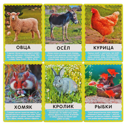 КАРТОЧКИ РАЗВИВАЮЩИЕ "УМНЫЕ ИГРЫ" ДОМАШНИЕ ЖИВОТНЫЕ. M. В. ДРУЖИНИНА. М.А. ЖУКОВА в кор.32шт
