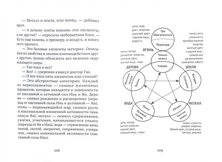 Лестница в небо, или Китайская медицина по-русски. Учебник + краткий словарь медицинских терминов для врачей и пациентов