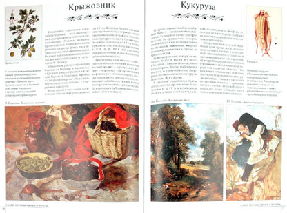 Самые вкусные овощи и фрукты