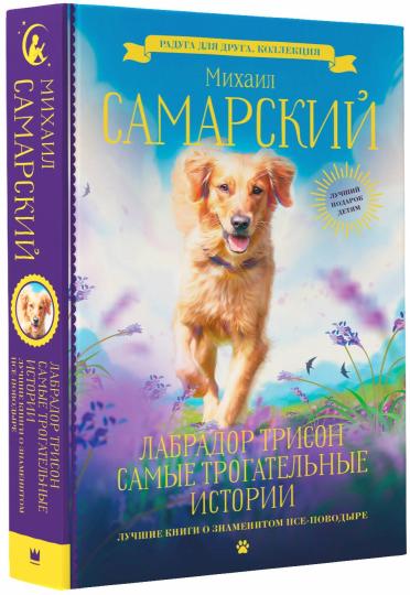 Лабрадор Трисон. Самые трогательные истории
