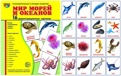 Démonstrateur. Cartes "Мир морей" (173х220мм)