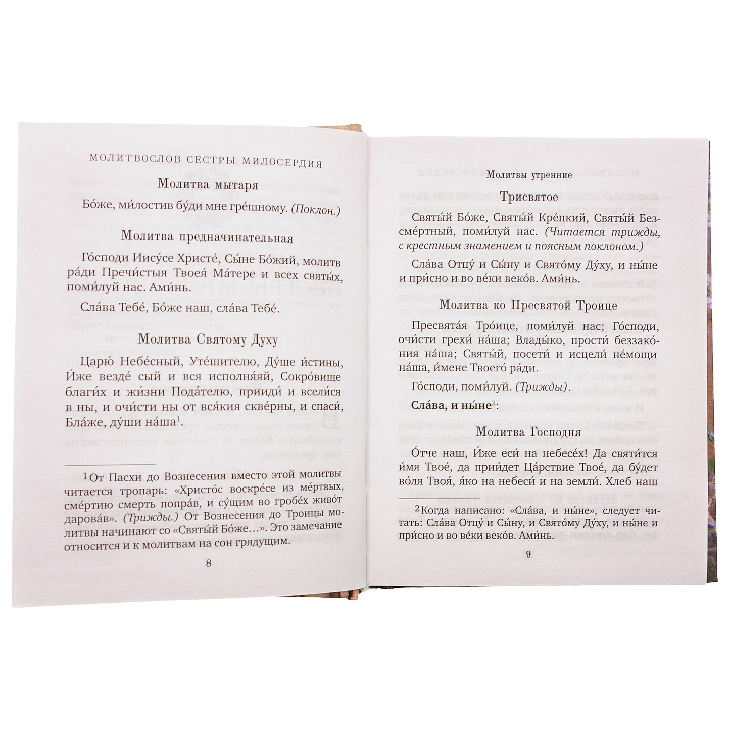 Спутник сестры милосердия