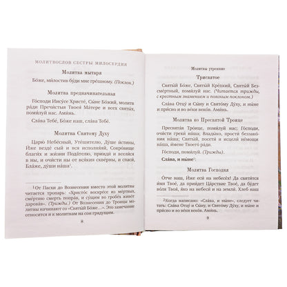 Спутник сестры милосердия