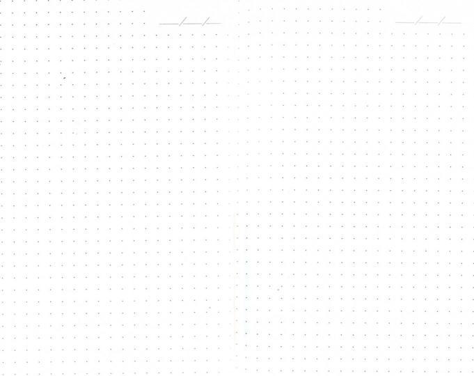 Записная книжка 96л,А6+,СЕРЕБРЯНЫЕ КАКТУСЫ,47888