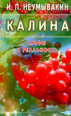 Калина. Мифы и реальность