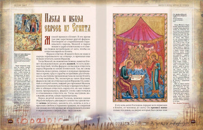 Закон Божий: Иллюстрированное издание (золот.тиснен.)