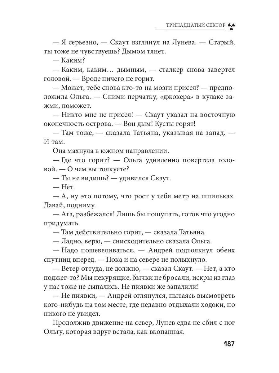 Тринадцатый сектор. Цикл «Андрей Лунев». Кн. 3