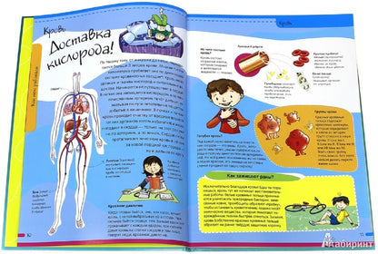 C'est un téléphone. Anatomie cérébrale