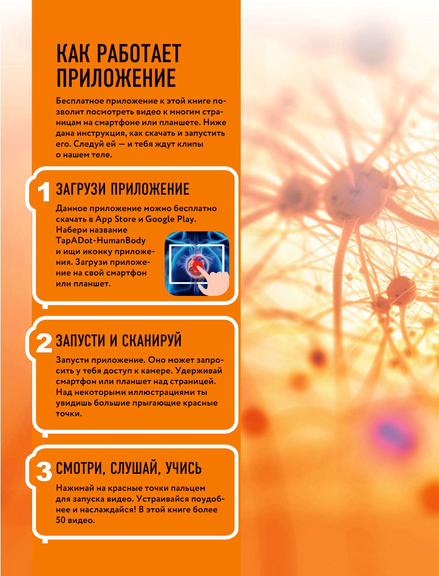 Тело человека. Виртуальная реальность