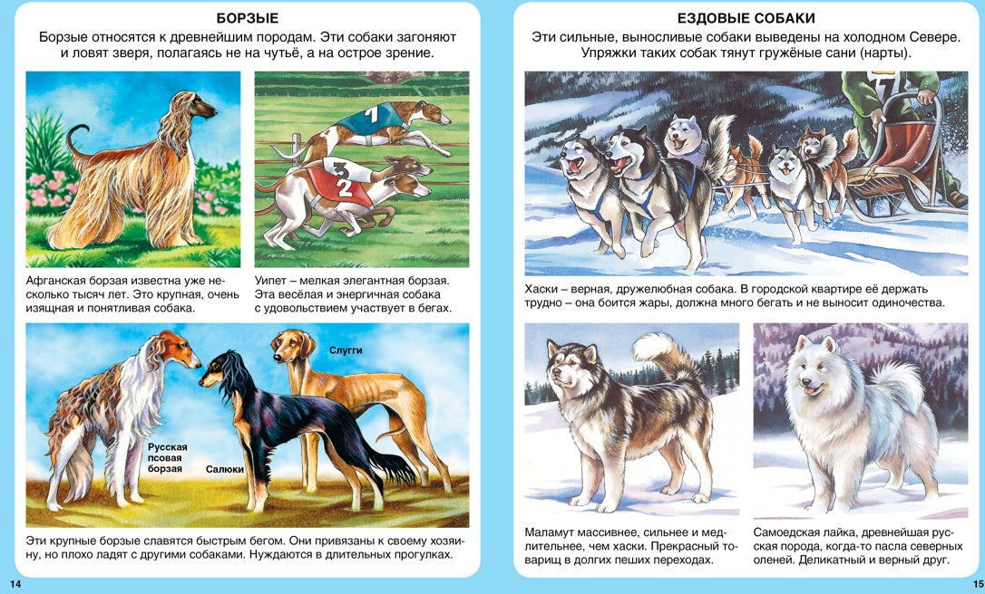 Домашние питомцы