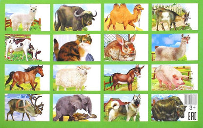 Cartes. Домашние животные ; Cartes. Maison de famille